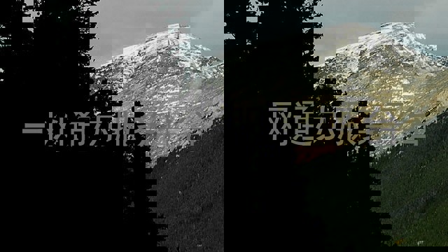 一网通办服务平台