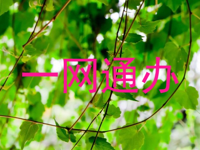 一网通办