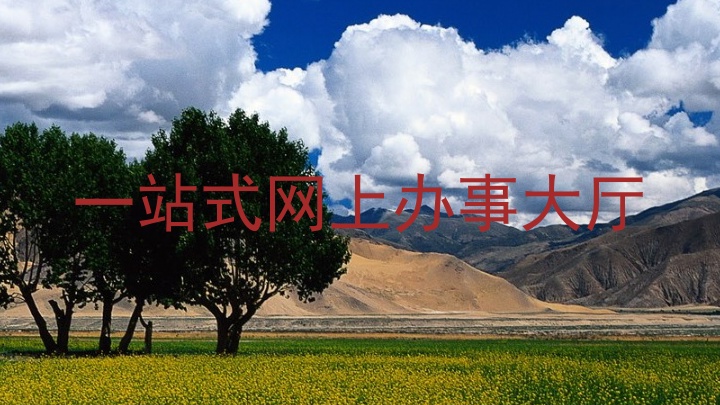 一站式网上办事大厅