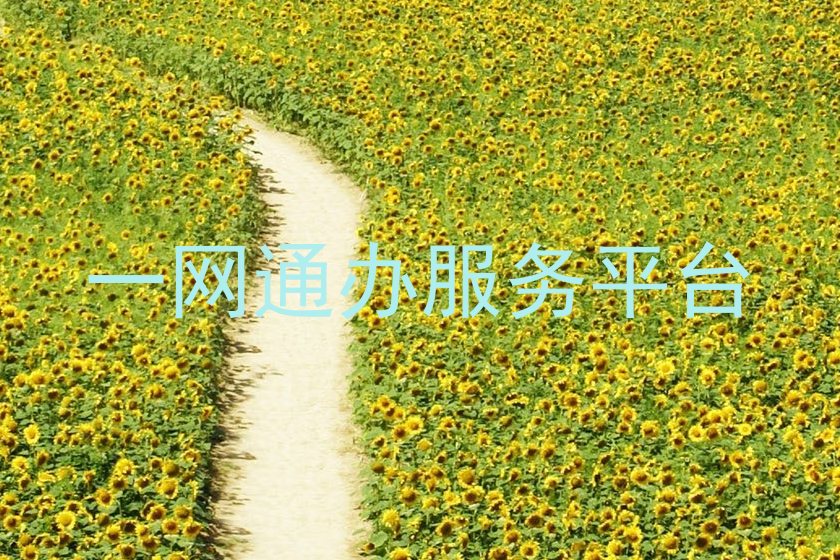 一网通办服务平台