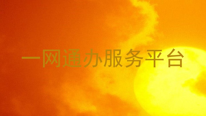 一网通办服务平台