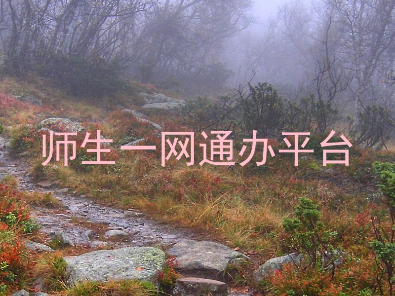 师生一网通办平台