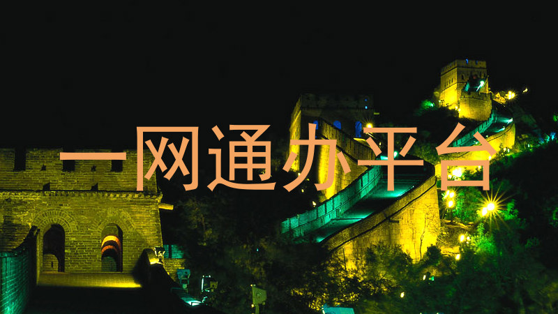 一网通办服务平台