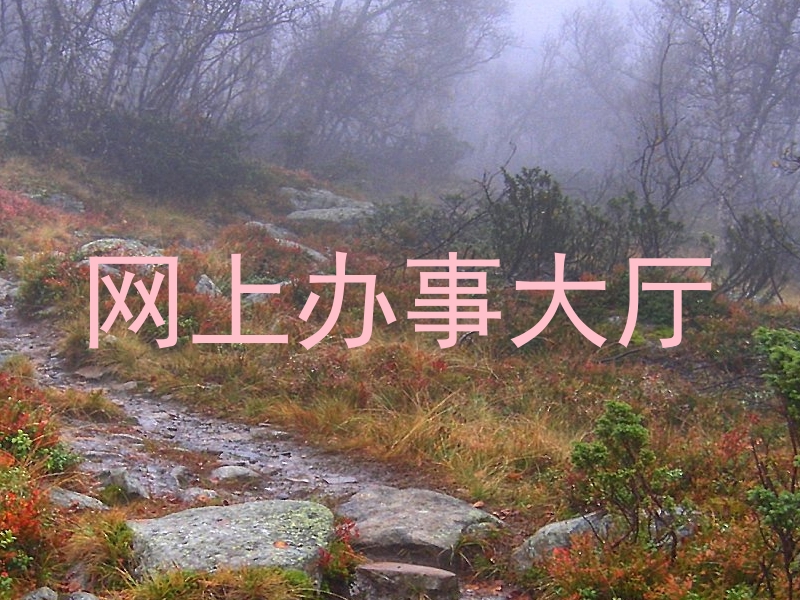 网上办事大厅