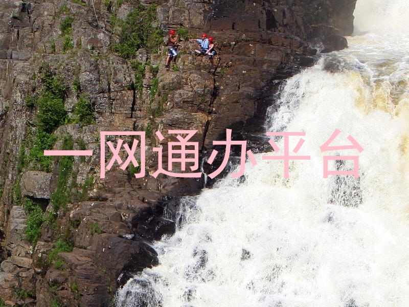 一网通办服务平台