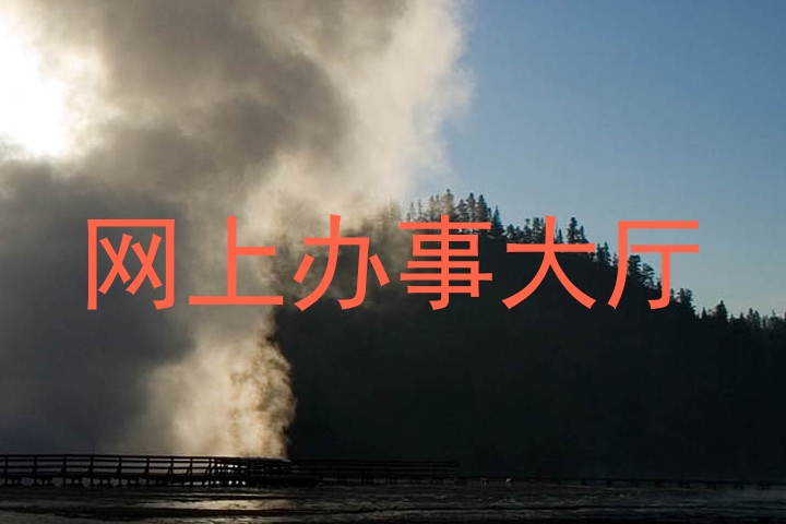 网上办事大厅