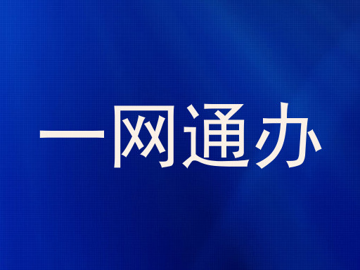 一网通办