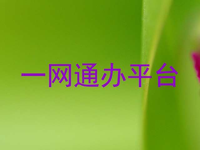 一网通办
