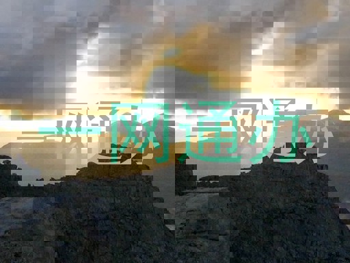 一网通办