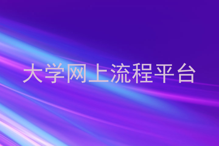大学网上流程平台