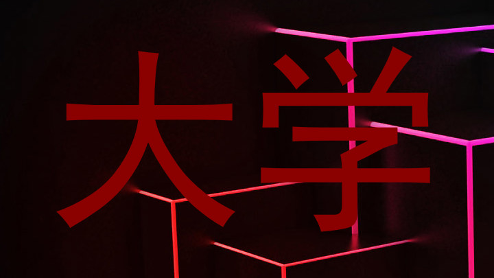 大学