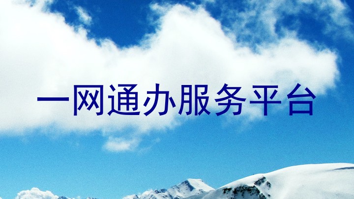 一网通办服务平台