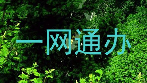 一网通办