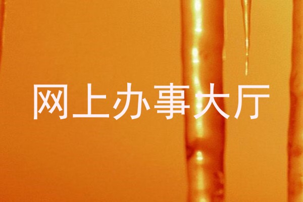 网上办事大厅