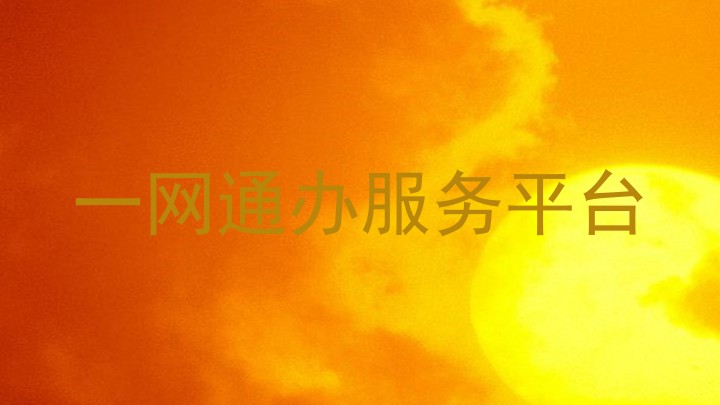 一网通办服务平台