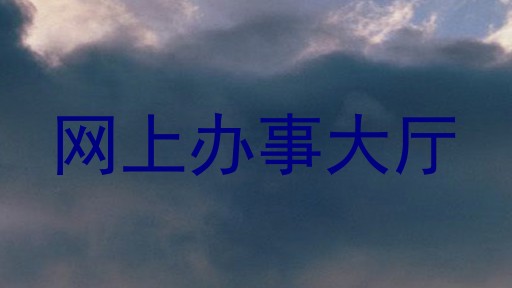 网上办事大厅