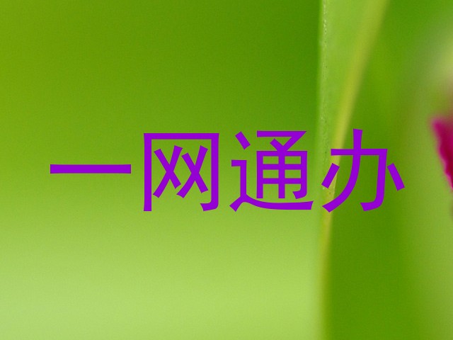 一网通办