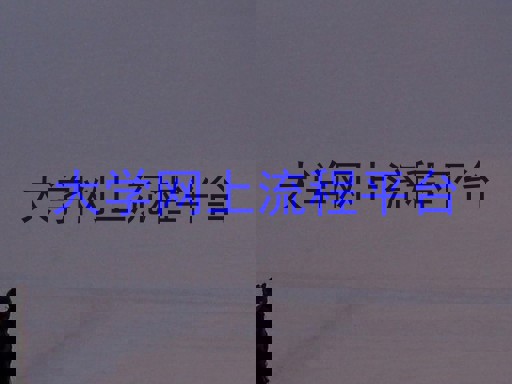 大学网上流程平台