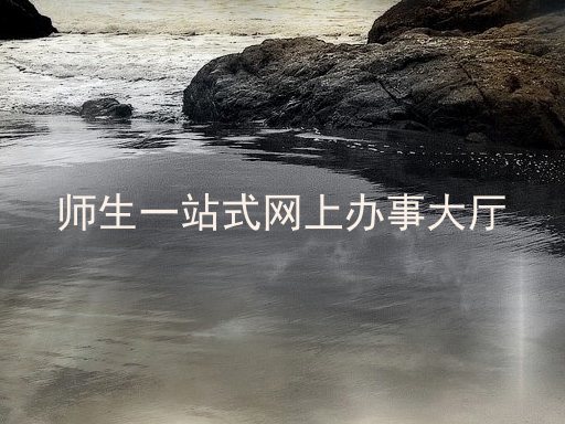 师生一站式网上办事大厅
