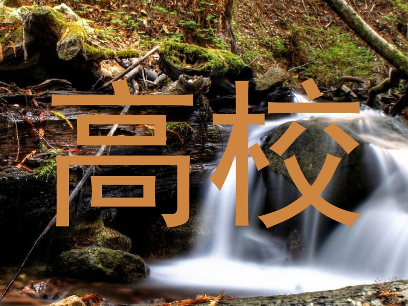 高校