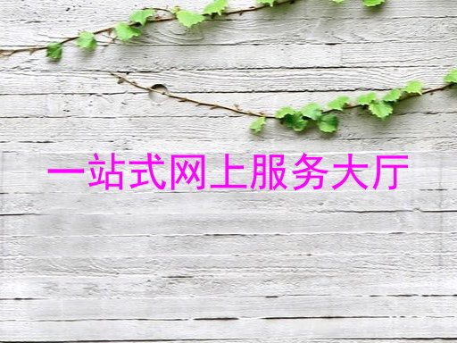 一站式网上服务大厅