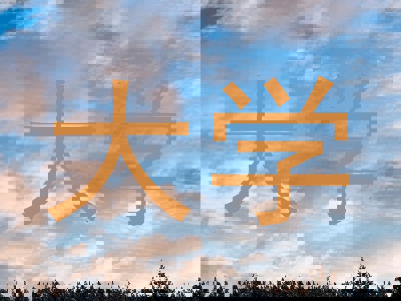 大学