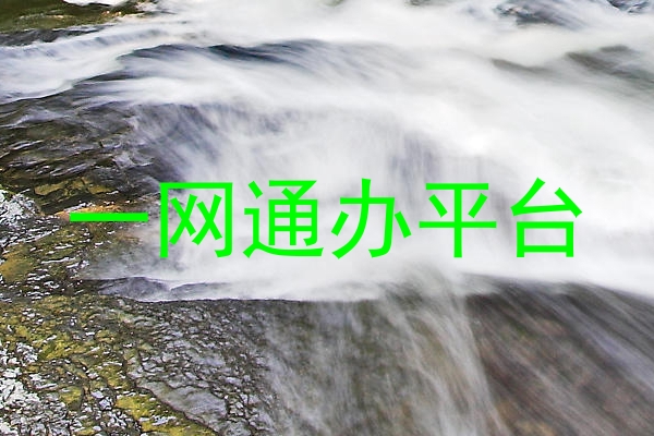 一网通办平台