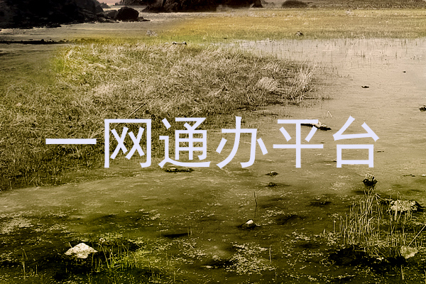 一网通办平台