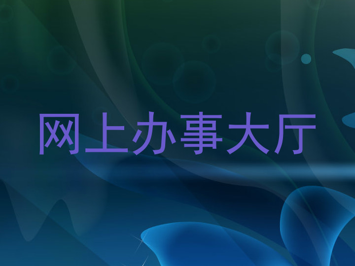 网上办事大厅