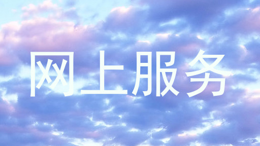 网上服务