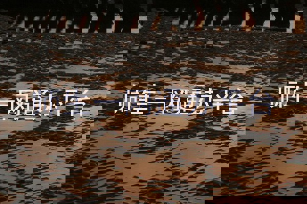 师生一网通办平台