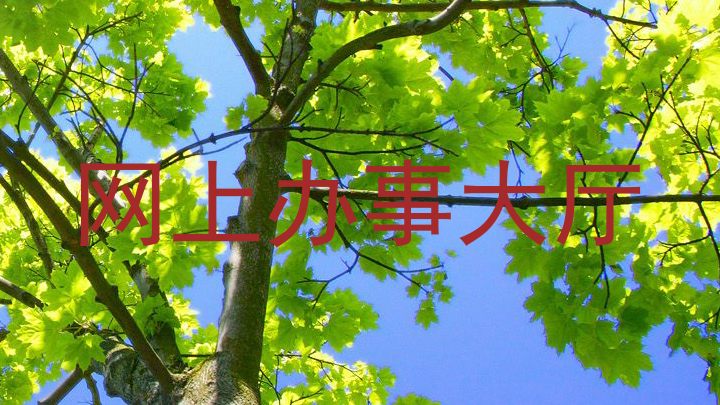 网上办事大厅