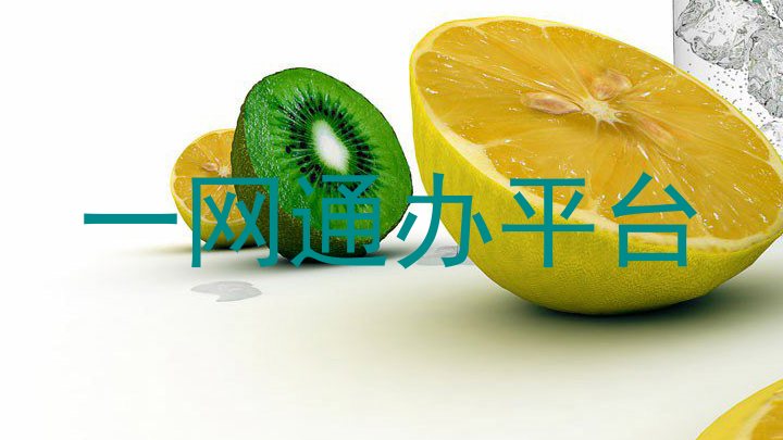 一网通办平台