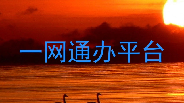 一网通办平台