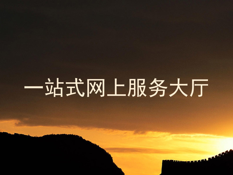 一站式网上服务大厅