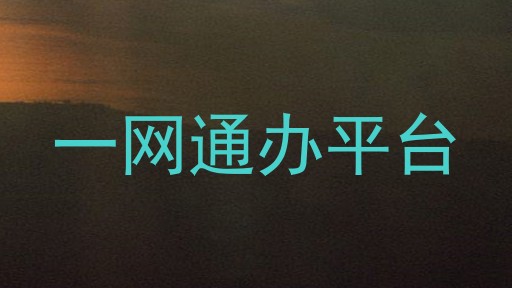 一网通办平台