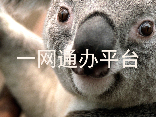一网通办平台