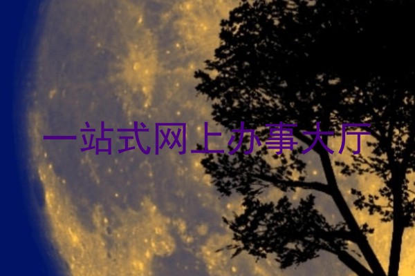 一站式网上办事大厅