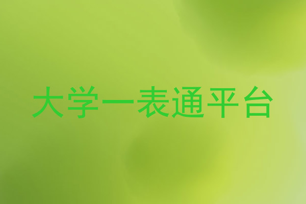 大学一表通平台
