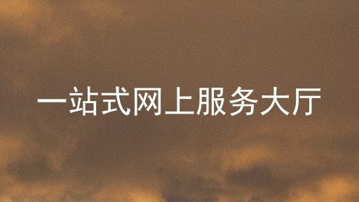 一站式网上服务大厅