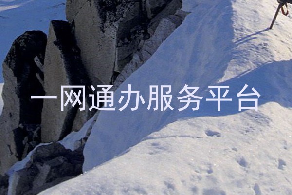 一网通办服务平台