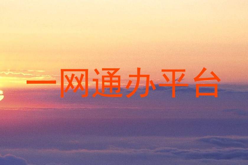 一网通办平台