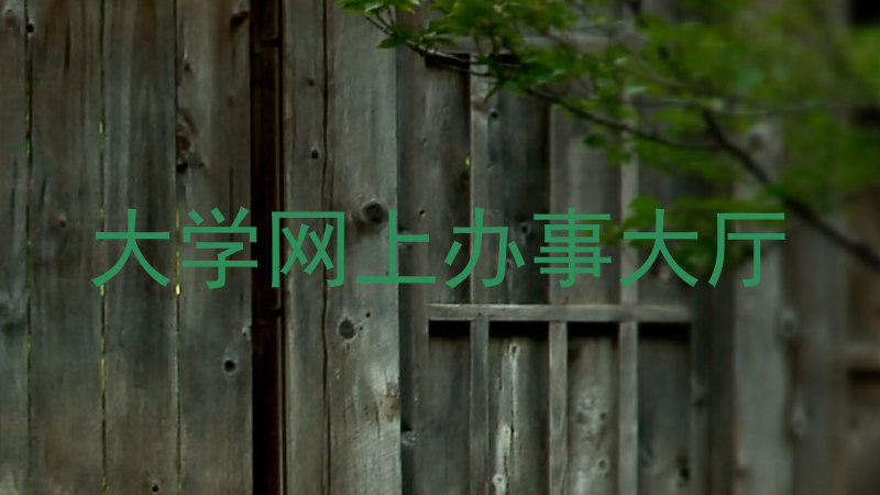 大学网上办事大厅