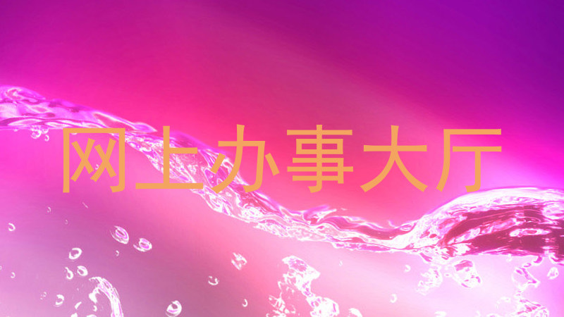 网上办事大厅