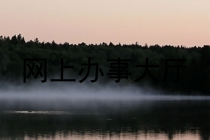 网上办事大厅