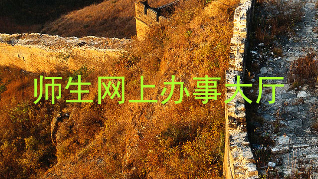 师生网上办事大厅