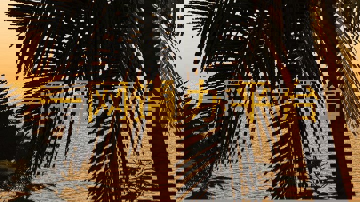 大学一表通平台