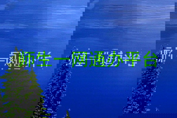 师生一网通办平台