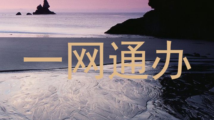 一网通办