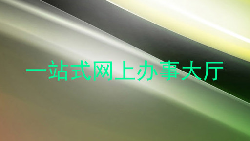 一站式网上办事大厅